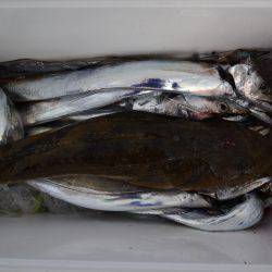 アジアマリンサービス 釣果