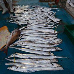 アジアマリンサービス 釣果