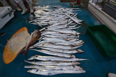 アジアマリンサービス 釣果