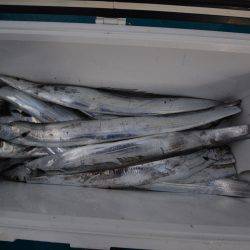 アジアマリンサービス 釣果