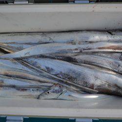 アジアマリンサービス 釣果