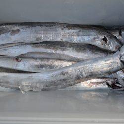 アジアマリンサービス 釣果