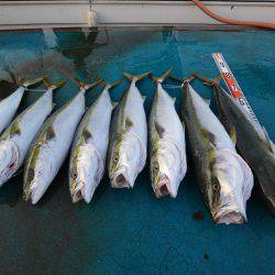 アジアマリンサービス 釣果