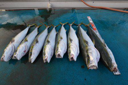 アジアマリンサービス 釣果