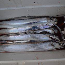 アジアマリンサービス 釣果