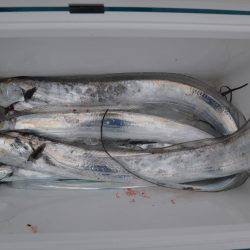 アジアマリンサービス 釣果