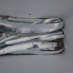 アジアマリンサービス 釣果