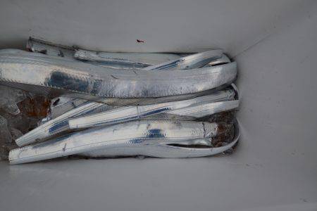 アジアマリンサービス 釣果