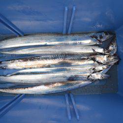 アジアマリンサービス 釣果