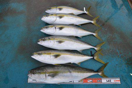 アジアマリンサービス 釣果