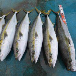 アジアマリンサービス 釣果