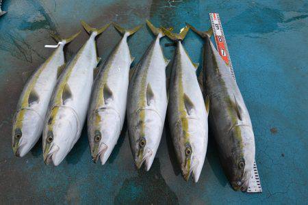 アジアマリンサービス 釣果