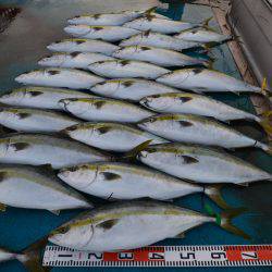 アジアマリンサービス 釣果
