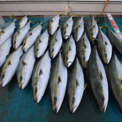 アジアマリンサービス 釣果