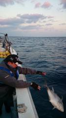 ことぶき丸 釣果