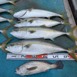 アジアマリンサービス 釣果