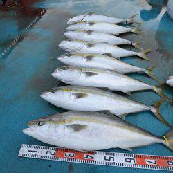 アジアマリンサービス 釣果