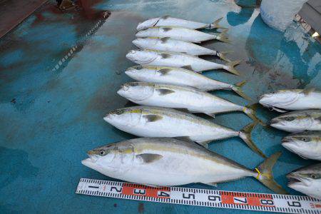 アジアマリンサービス 釣果