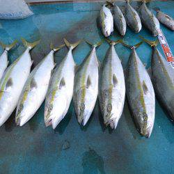 アジアマリンサービス 釣果