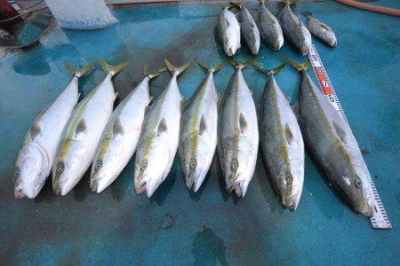 アジアマリンサービス 釣果