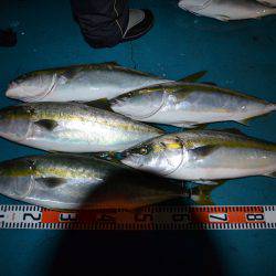 アジアマリンサービス 釣果