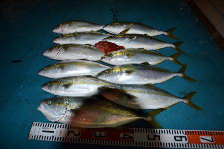 アジアマリンサービス 釣果