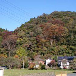 フィッシングエリア帝釈 釣果