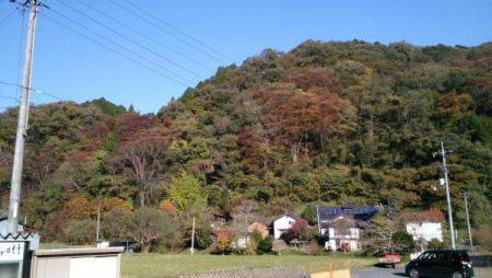 フィッシングエリア帝釈 釣果