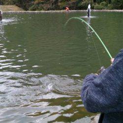 フィッシングエリア帝釈 釣果