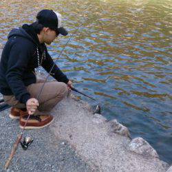 フィッシングエリア帝釈 釣果