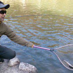 フィッシングエリア帝釈 釣果