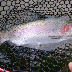 フィッシングエリア帝釈 釣果