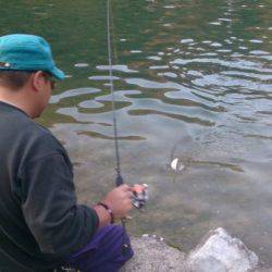 フィッシングエリア帝釈 釣果