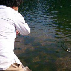 フィッシングエリア帝釈 釣果