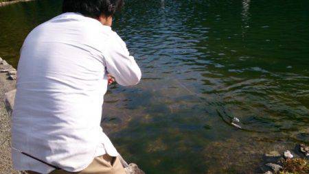 フィッシングエリア帝釈 釣果