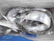 おおせき丸 釣果