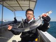 おおせき丸 釣果