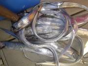 おおせき丸 釣果