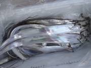 おおせき丸 釣果