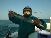 おおせき丸 釣果