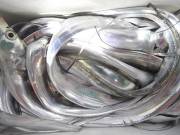 おおせき丸 釣果