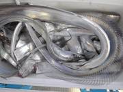 おおせき丸 釣果