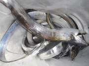 おおせき丸 釣果