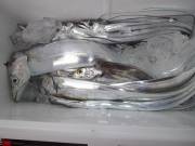 おおせき丸 釣果