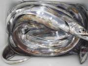 おおせき丸 釣果