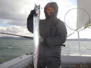 おおせき丸 釣果