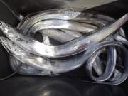 おおせき丸 釣果