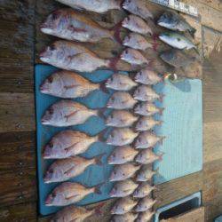 磯部釣船 直栄丸 釣果