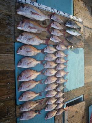 磯部釣船 直栄丸 釣果