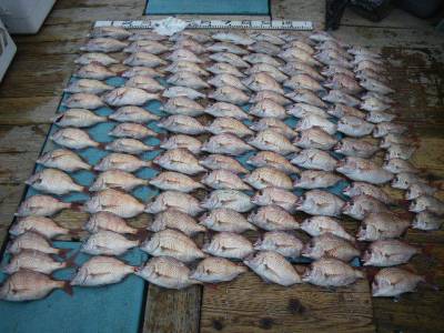 磯部釣船 直栄丸 釣果